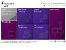 Tablet Screenshot of intelligentgels.com